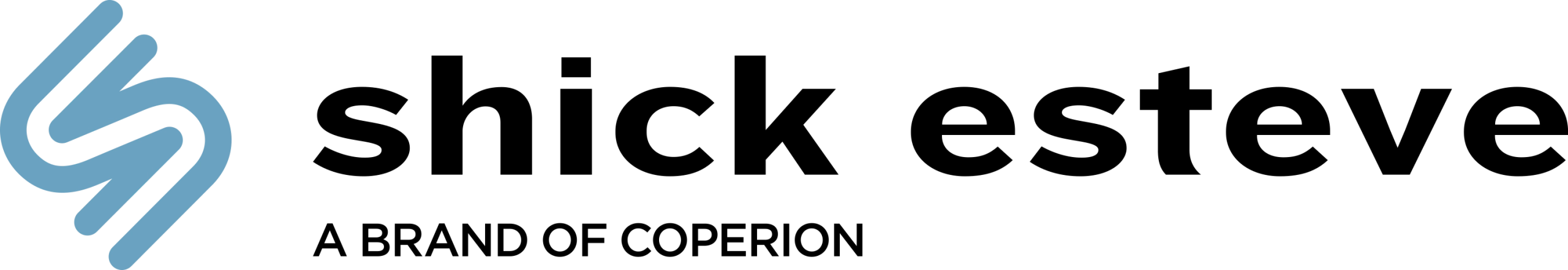 new logo full size Shick Esteve